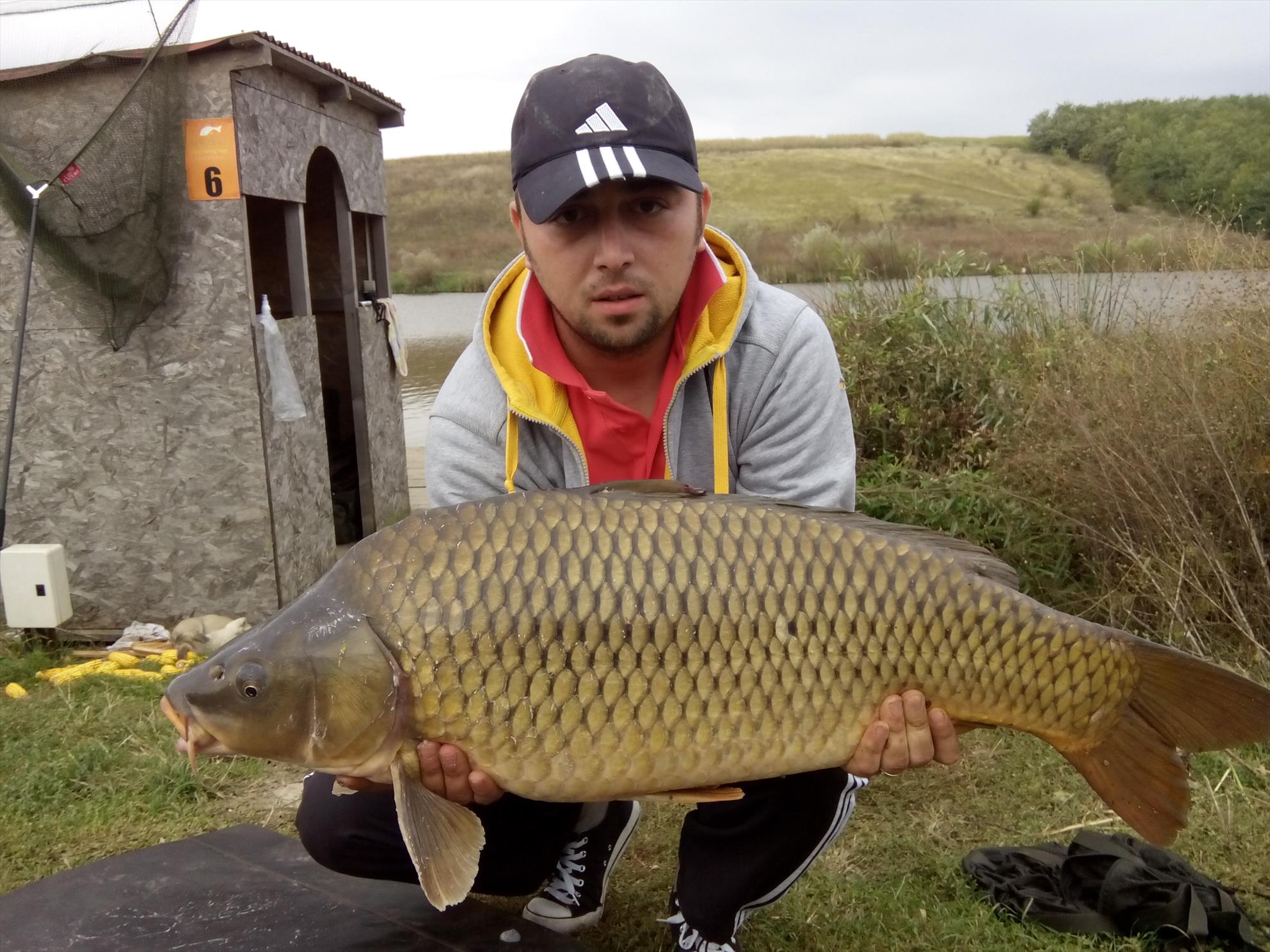 2014 - img20141002101919.jpg